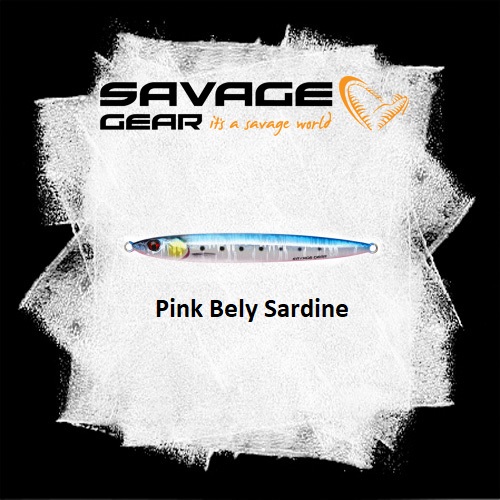 Pink Belly Sardine