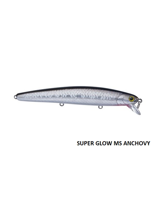 SUPER GLOW MS ANCHOVY