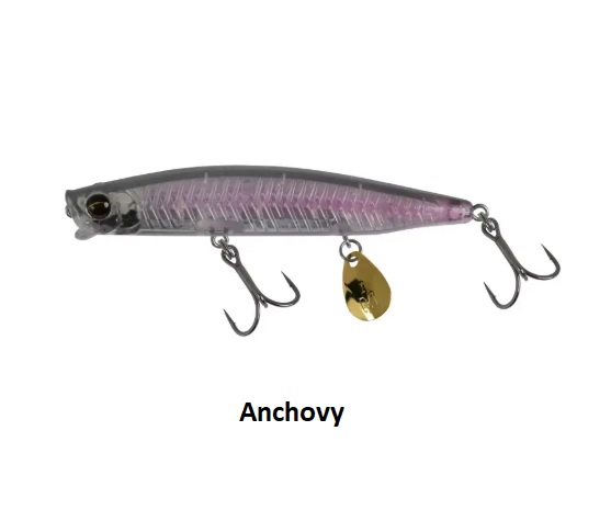 anchovy
