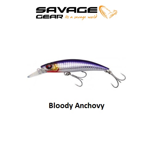 bloody anchovy