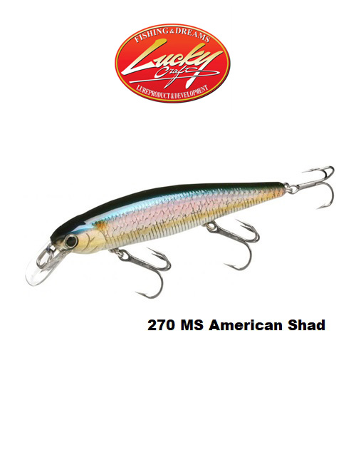 lucky-craft-97-mr-american-shad new