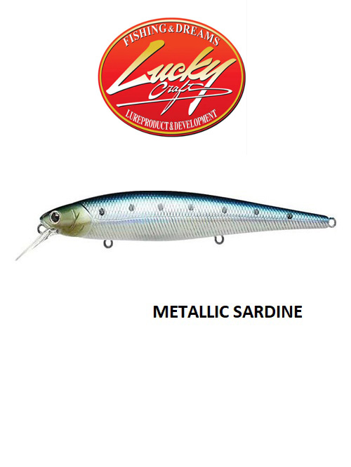 metallic-sardine new