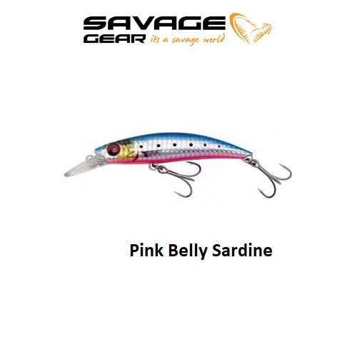 pink belly sardine