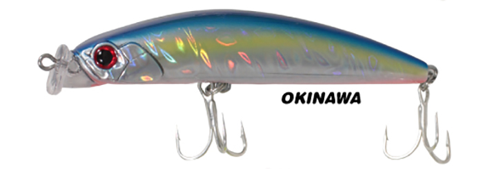 ryuji-king-mullet-floating-okinawa