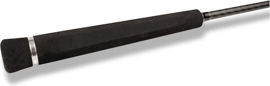 xlarge_20240531123557_95136776