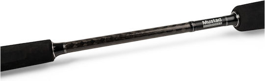 xlarge_20240531123559_27d09f10